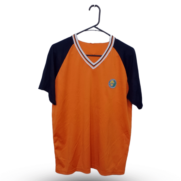 Lunda.Pk Orange & Blue Half Sleeves Sports T Shirt | Sports Fabric | Extra Large