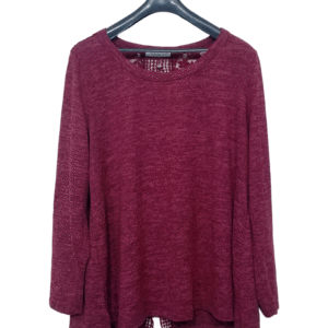 Ganette Plus Maroon Upper Back Net Top | Sweet Jersey