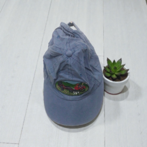 StreetStyle Light Blue Cap