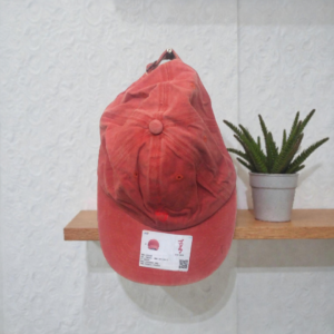 Bold Shady Orange Cap