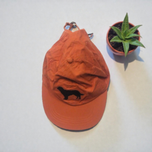 Orange & Black Puppy Cap