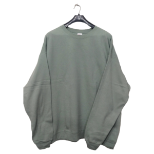 Hanes Summer Green Plain Sweatshirt | Sweat Jersey