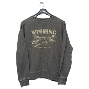 Forever Greenish Grey Printed Sweatshirt | Sweat Jersey